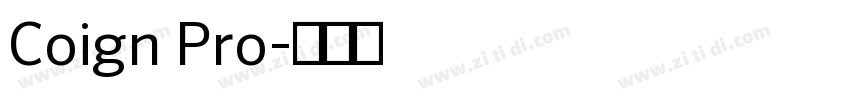 Coign Pro字体转换